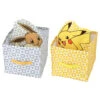 Pokemon Foldable Storage Box -Kids Home Store eeveepika