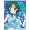 Sailor Mercury Wall Scroll
